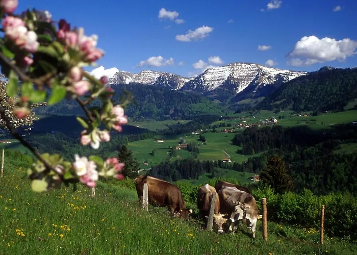 Fewo Allgaeuphorie, Oberreute