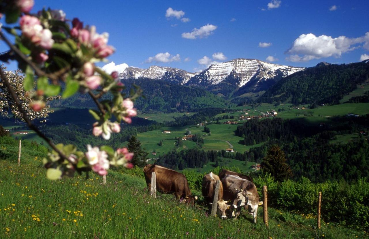 Allgaeuphorie, Oberreute